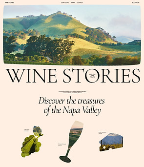 Tour de vinhos